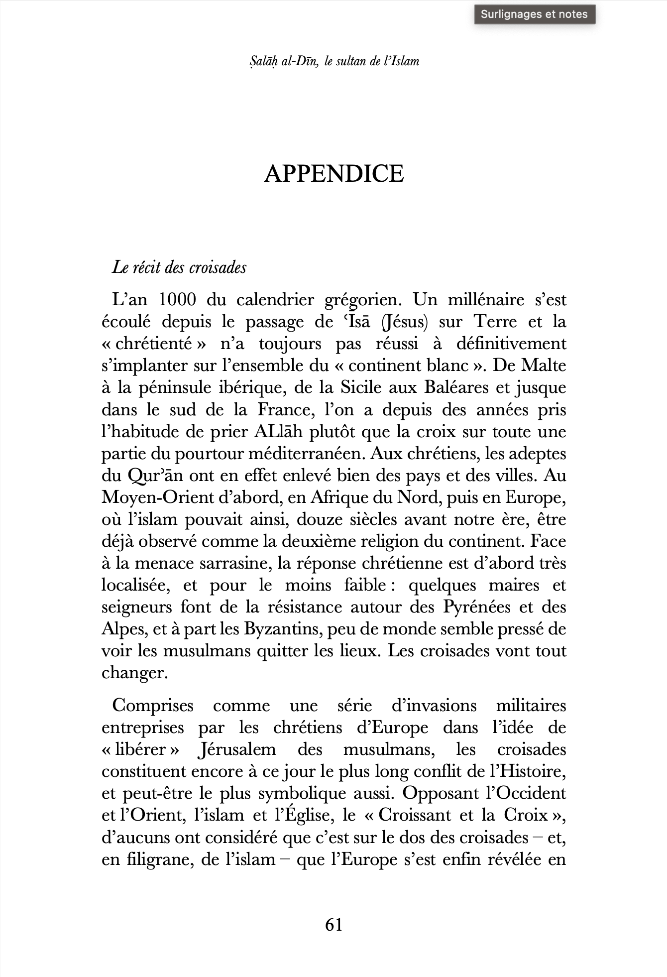 Salah al-Din, le sultan de l'Islam - Renaud K. - Sarrazins – Image 8